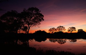 Kurz vor der Nacht im Pantanal