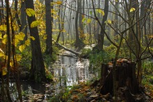 Herbststimmung im Spreewald