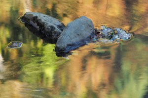 aktuelle Herbstfarben