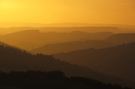 Silhouetten