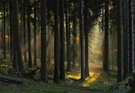Herbst