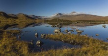 Rannoch Moor