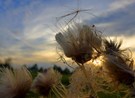 Es wehte eine herbstliche Brise ....