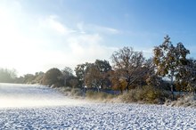 Winterliche Herbstlandschaft