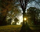 Abendliche Herbstlandschaft an der Havel