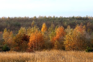 Herbststimmung in Brandenburg