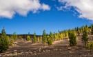 Parque Nacional del Teide/ Las Cañadas