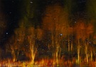"Burning" Forest on Ice
