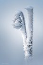 Eisblumen heute mal nicht am Fenster.