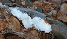 Haar- Eis
