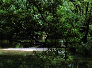 La Sorgue