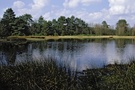 Moorweiher in der Tinner Dose