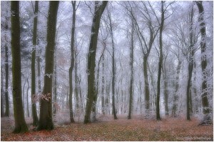 Raureif und Kälte...