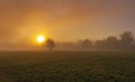 Nebel an der Ruhr