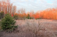 Vorwinterlandschaft nach Sonnenaufgang