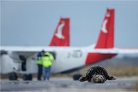 Learning to fly