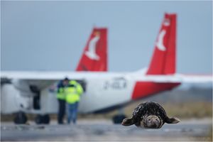 Learning to fly