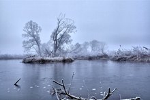 Morgens an der Elbe