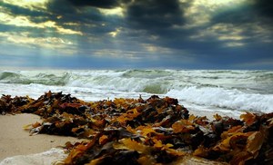 Nordstrand auf Fehmarn