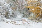 Winterlich