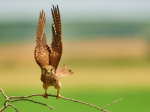 Auf dem Sprung ins neue Jahr