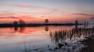 Kinderdijk