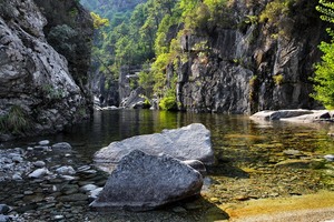 Gate into the Canyon