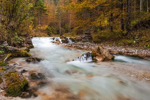 Kleiner Rückblick