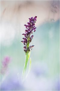 Freue ich mich schon...