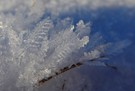 Winterharmonie in blau