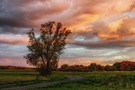 Abendhimmel im Oktober