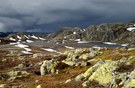 Hardangervidda