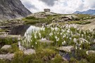 Gebirgssee im Ahrntal