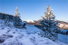 schöne Wintertage beflügeln das Herz