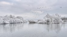 Winter an der Donau