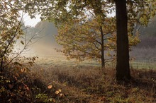 Novembermorgen auf dem Neanderlandsteig, Freizeitgelände Volkardey bei Ratingen