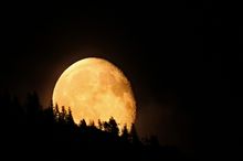 Der Mond geht über dem Bergwald auf