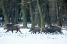 Früh unterwegs