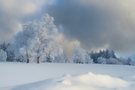 Winterlandschaft