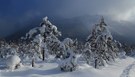 Winterlandschaft