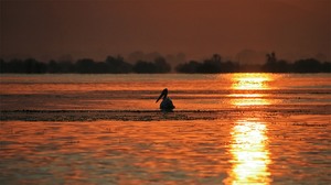 Früh am Morgen auf dem Kerkini-See (2)