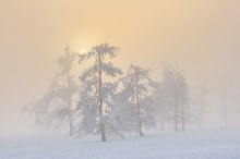 Lichtmomente auf dem Kahlen Asten