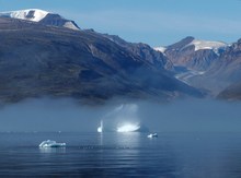 Gletscher, Minieisberge und Möwen