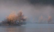 Wenn sich der Nebel lichtet...