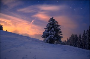 Winternacht