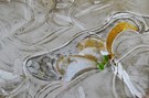 Filigrane Palme "On Ice"