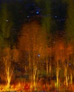Burning Forest on Ice "Take 2"