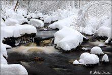 An der Hoegne im Winter