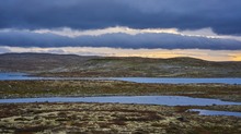 Hardangervidda