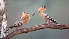 Es wird langsam Zeit....